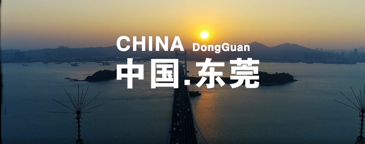 聚力